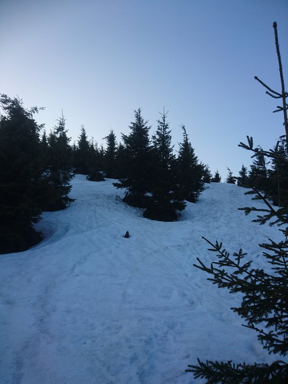 DSC_0136.JPG