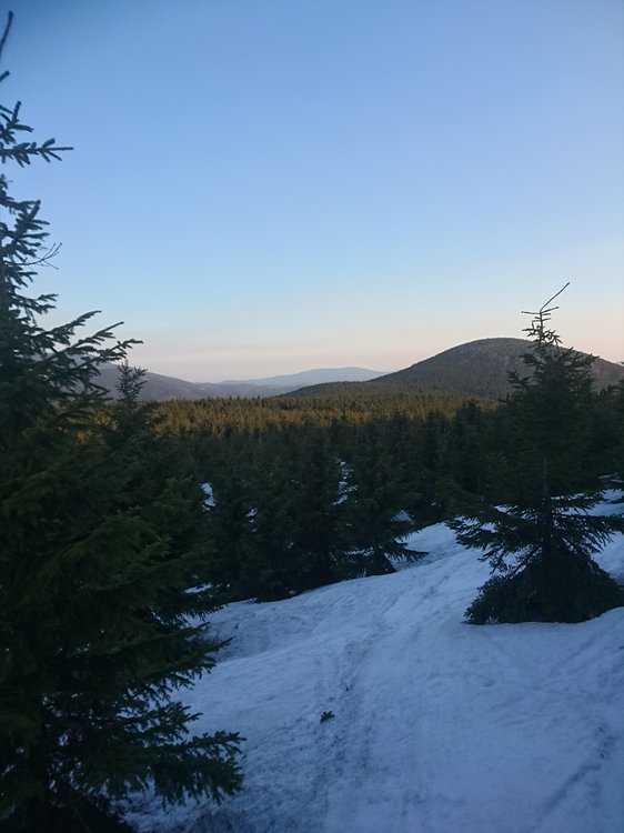 DSC_0138.JPG