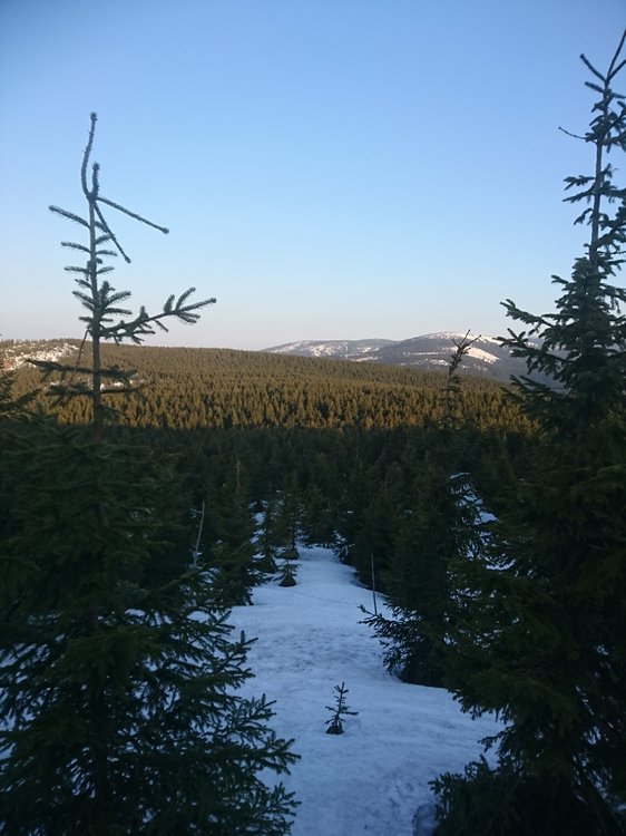 DSC_0139.JPG