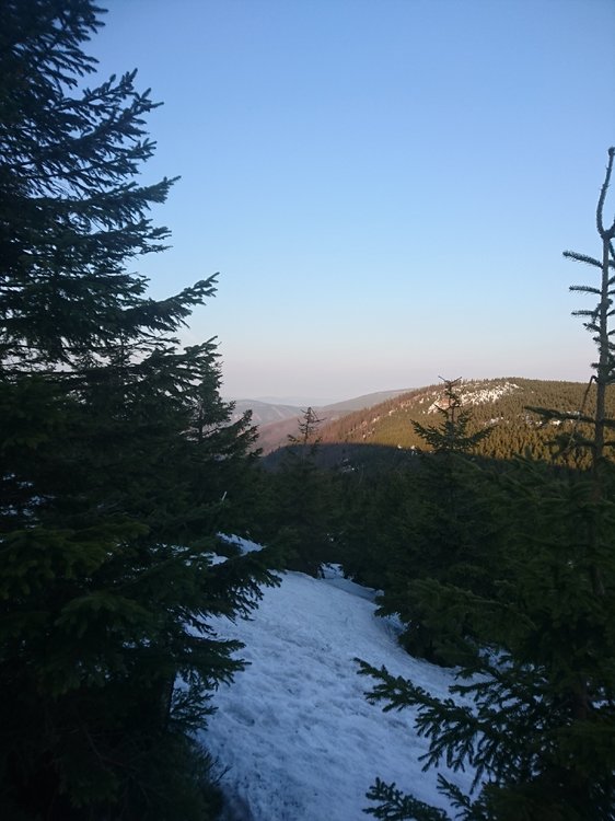 DSC_0141.JPG