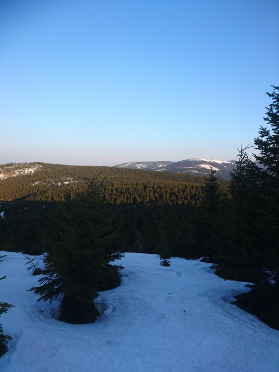 DSC_0145.JPG