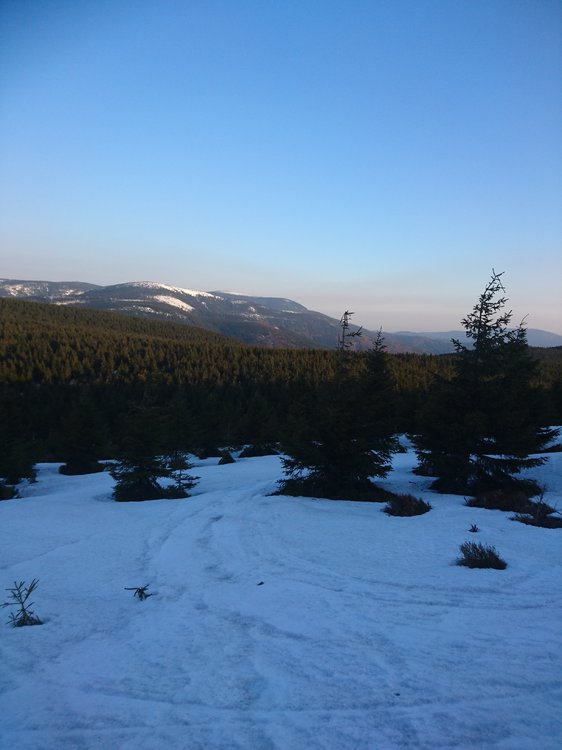 DSC_0152.JPG