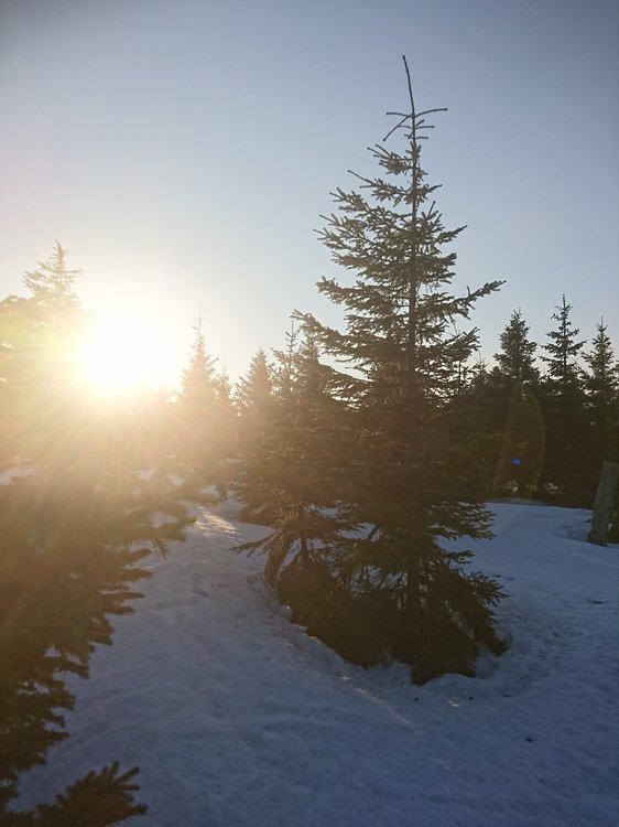 DSC_0155.JPG