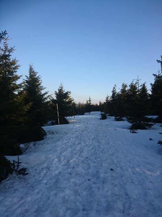 DSC_0157.JPG