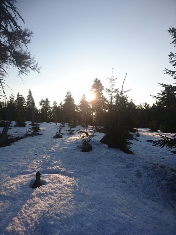 DSC_0158.JPG