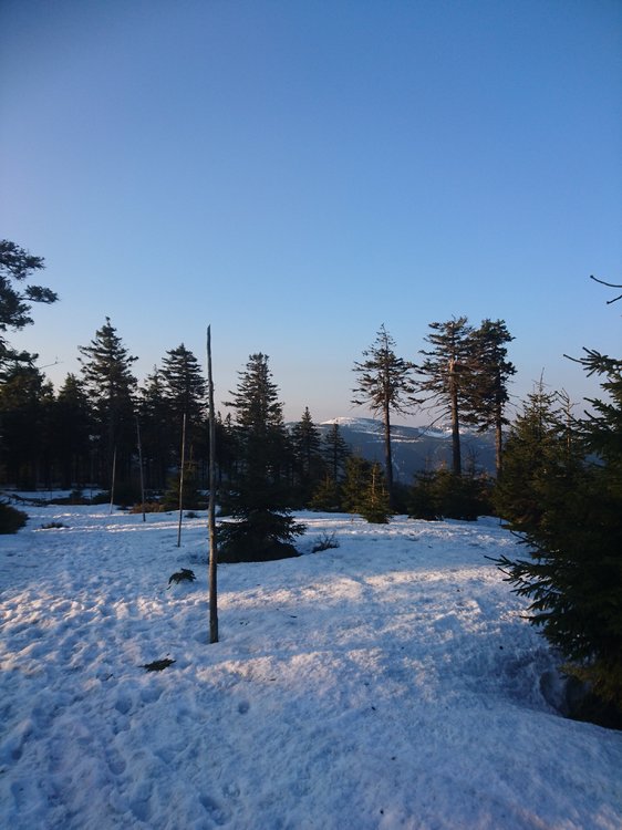 DSC_0162.JPG