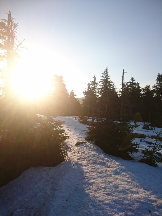 DSC_0163.JPG