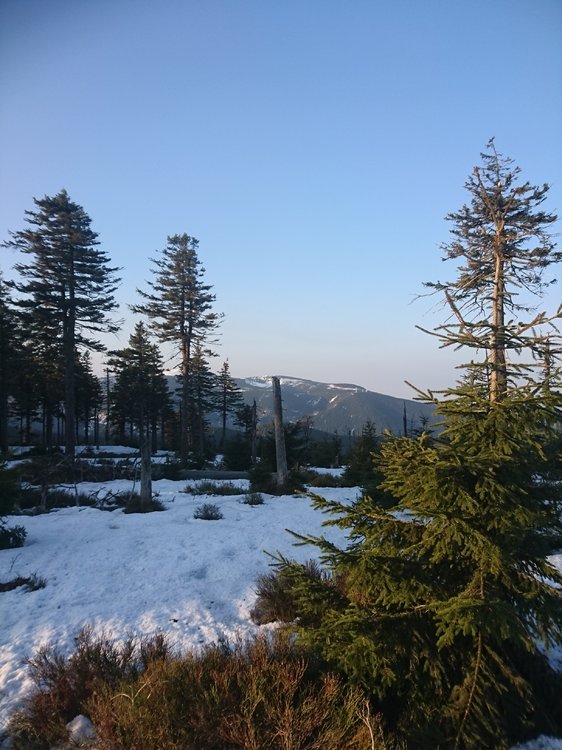 DSC_0165.JPG