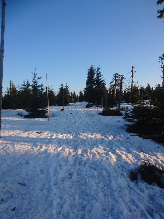 DSC_0166.JPG