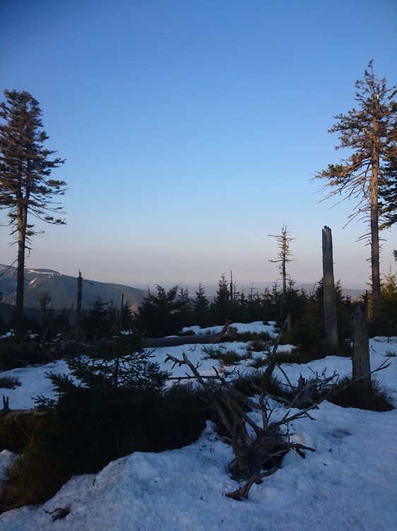 DSC_0169.JPG