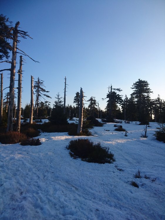 DSC_0172.JPG