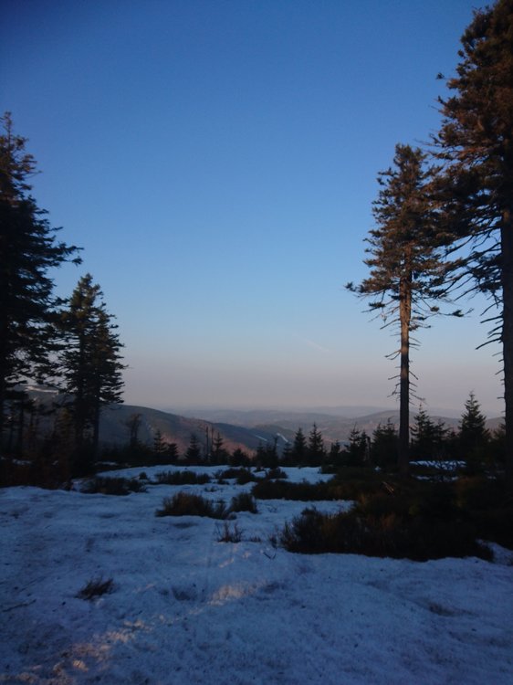 DSC_0174.JPG