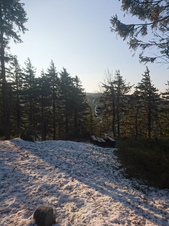 DSC_0175.JPG