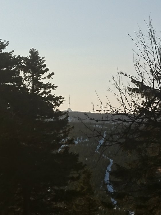 DSC_0179.JPG