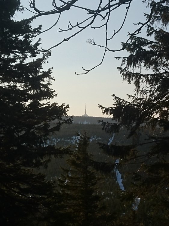 DSC_0184.JPG