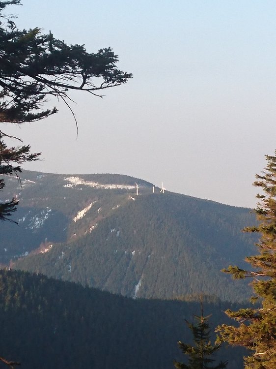 DSC_0187.JPG