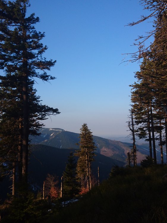 DSC_0189.JPG