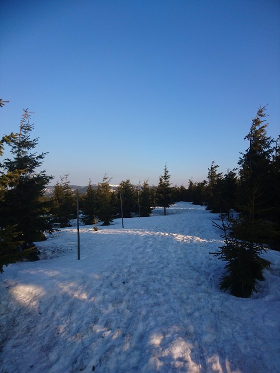 DSC_0201.JPG