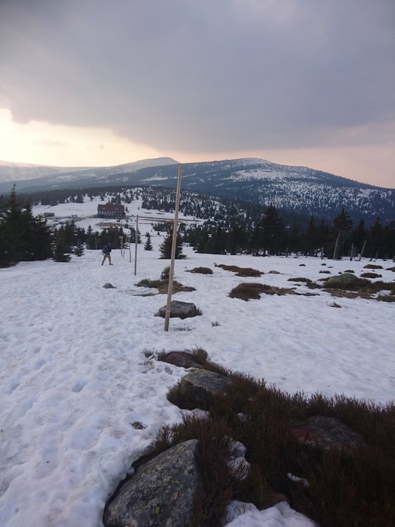 DSC_0328.JPG