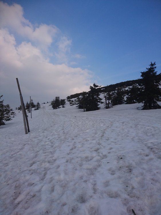 DSC_0355.JPG