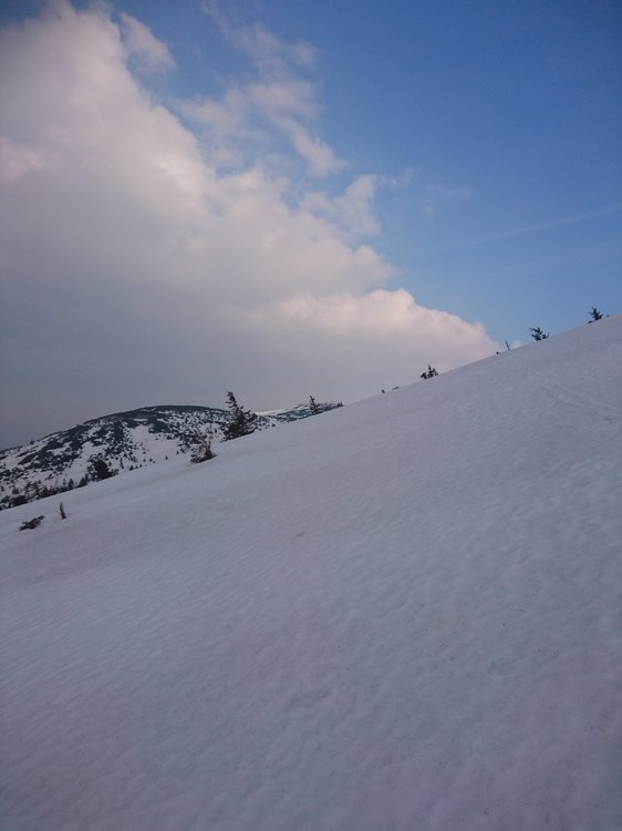DSC_0360.JPG