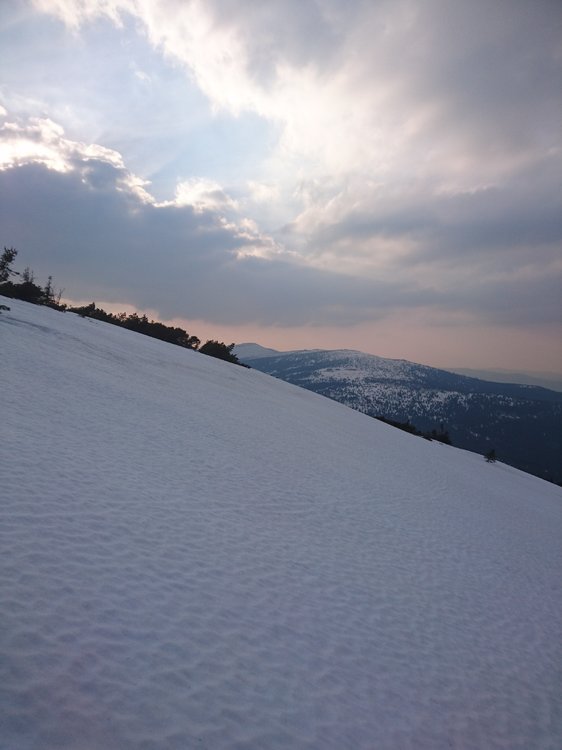 DSC_0380.JPG