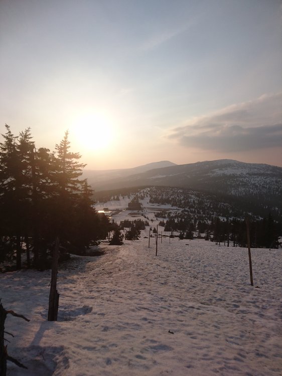 DSC_0447.JPG