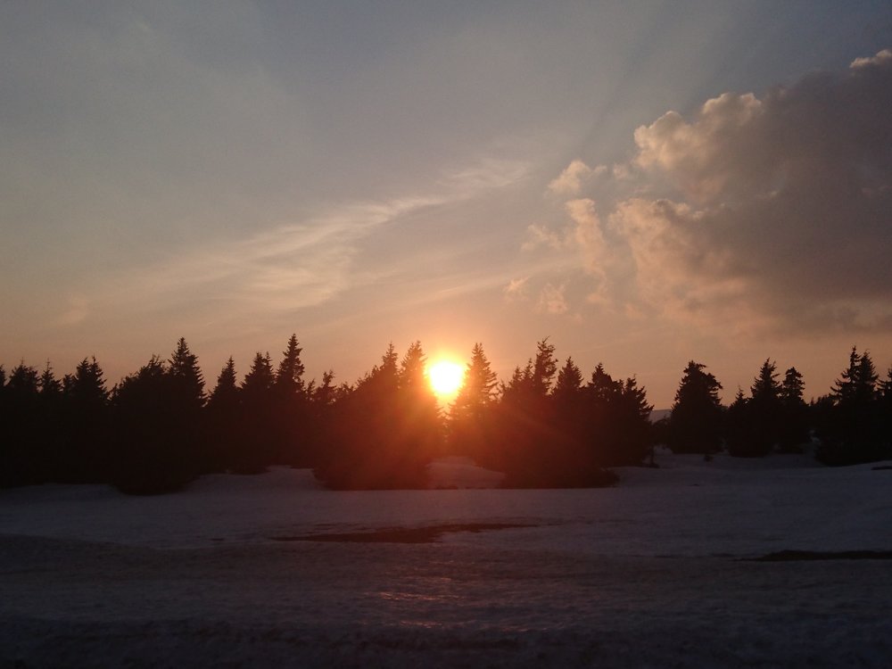 DSC_0462.JPG
