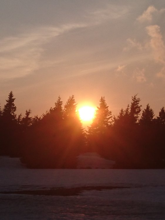 DSC_0463.JPG