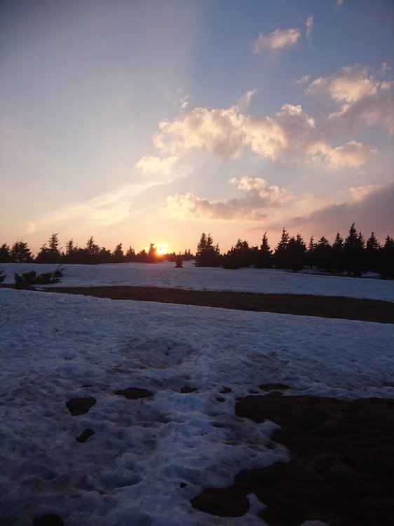DSC_0469.JPG
