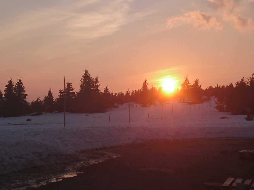 DSC_0472.JPG