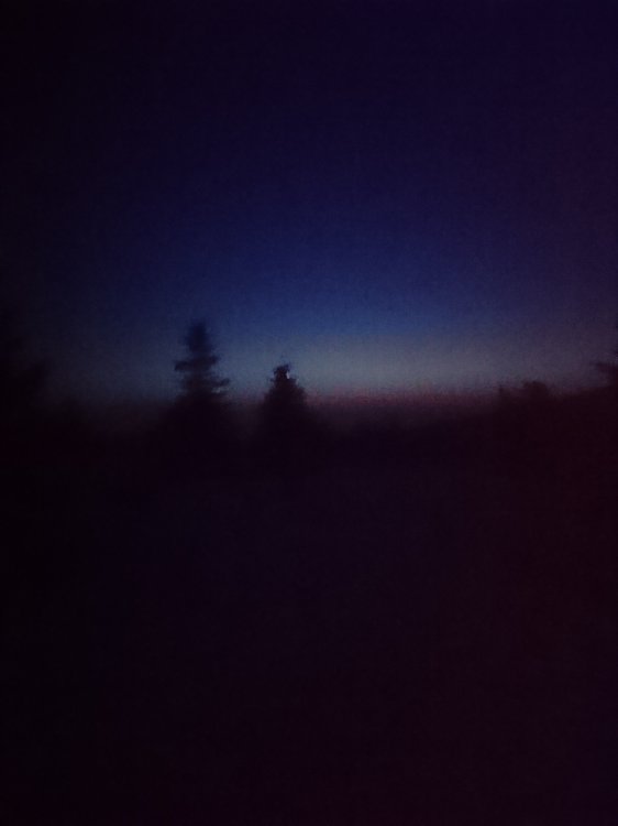 DSC_0484.JPG
