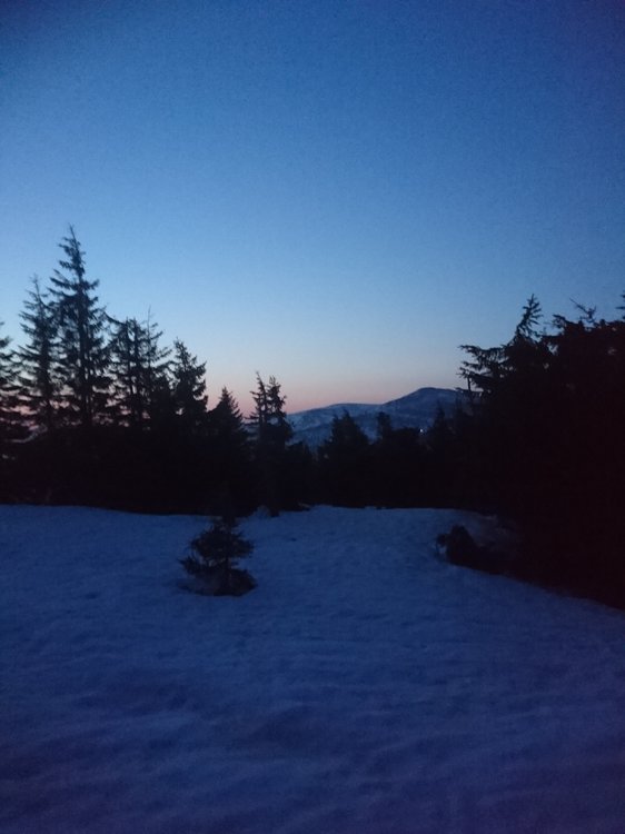 DSC_0502.JPG