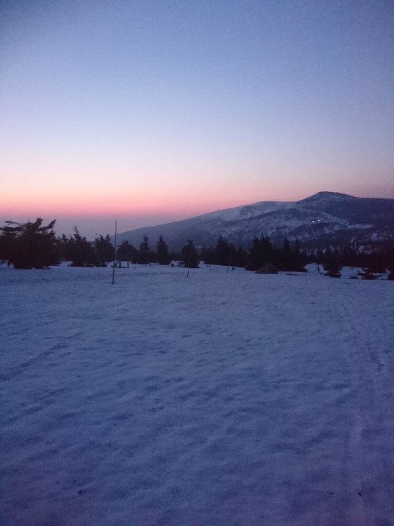 DSC_0513.JPG