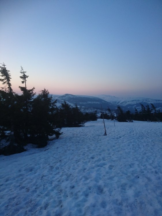 DSC_0551.JPG