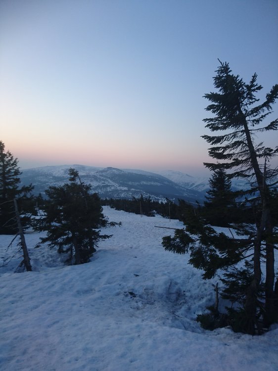 DSC_0554.JPG