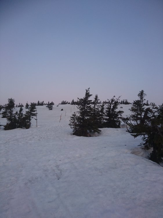 DSC_0558.JPG