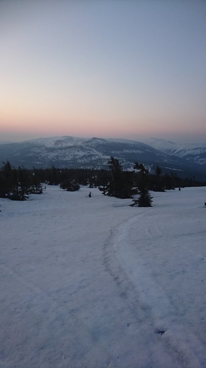 DSC_0560.JPG