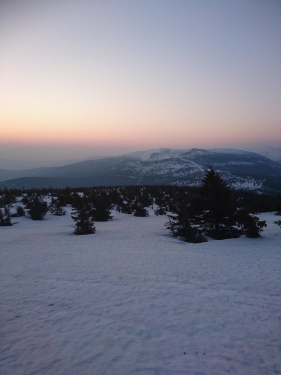 DSC_0567.JPG