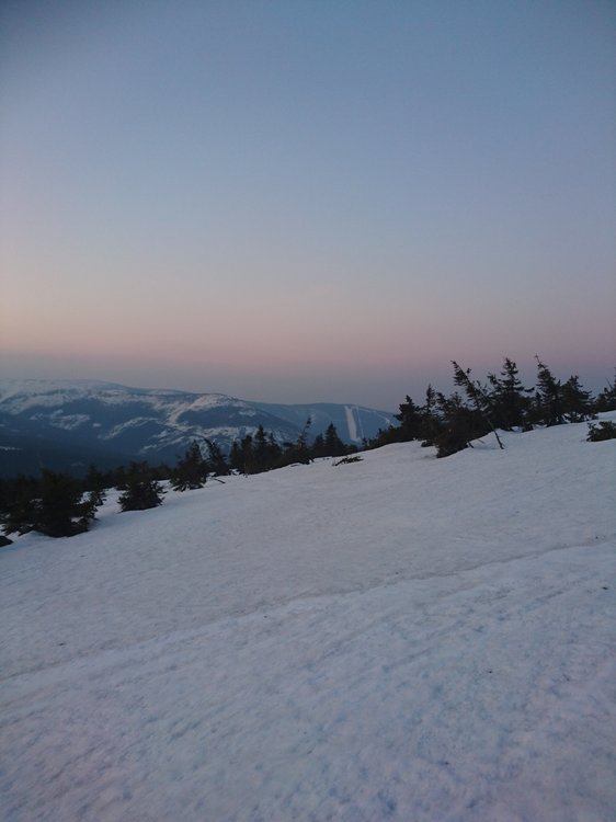 DSC_0569.JPG
