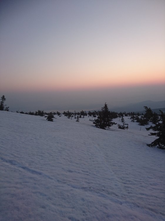 DSC_0571.JPG