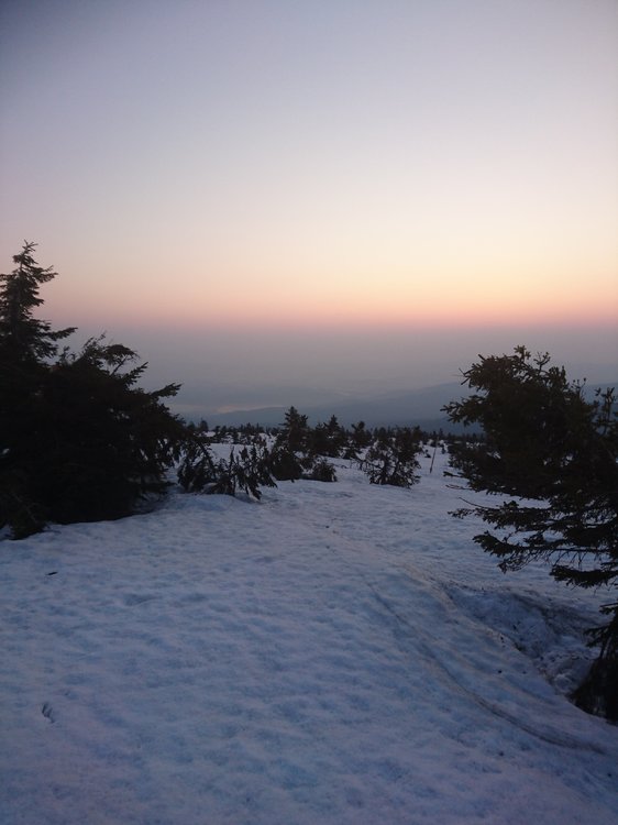 DSC_0575.JPG