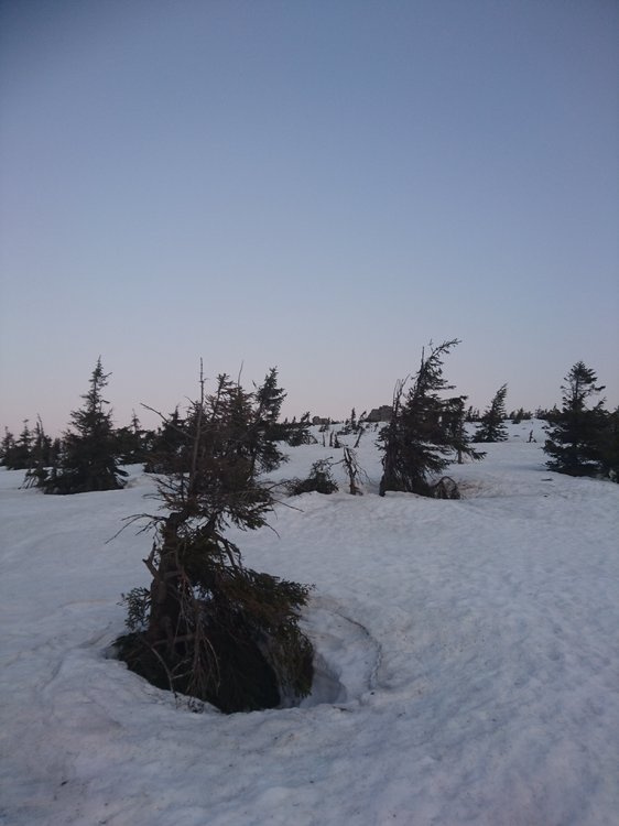 DSC_0576.JPG