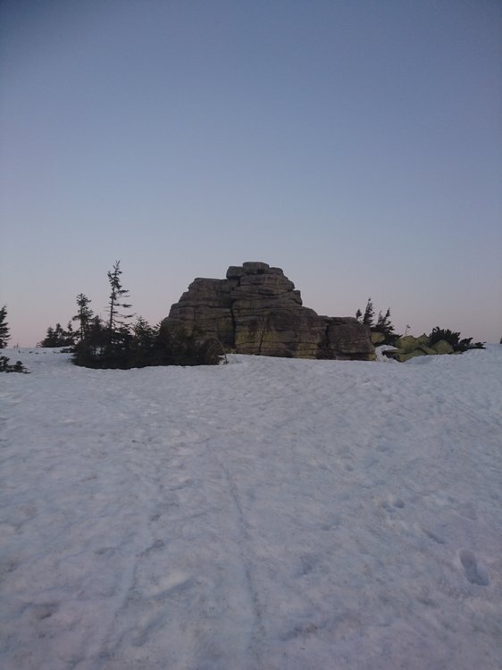 DSC_0590.JPG