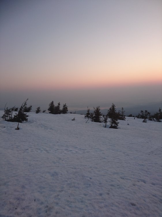 DSC_0591.JPG