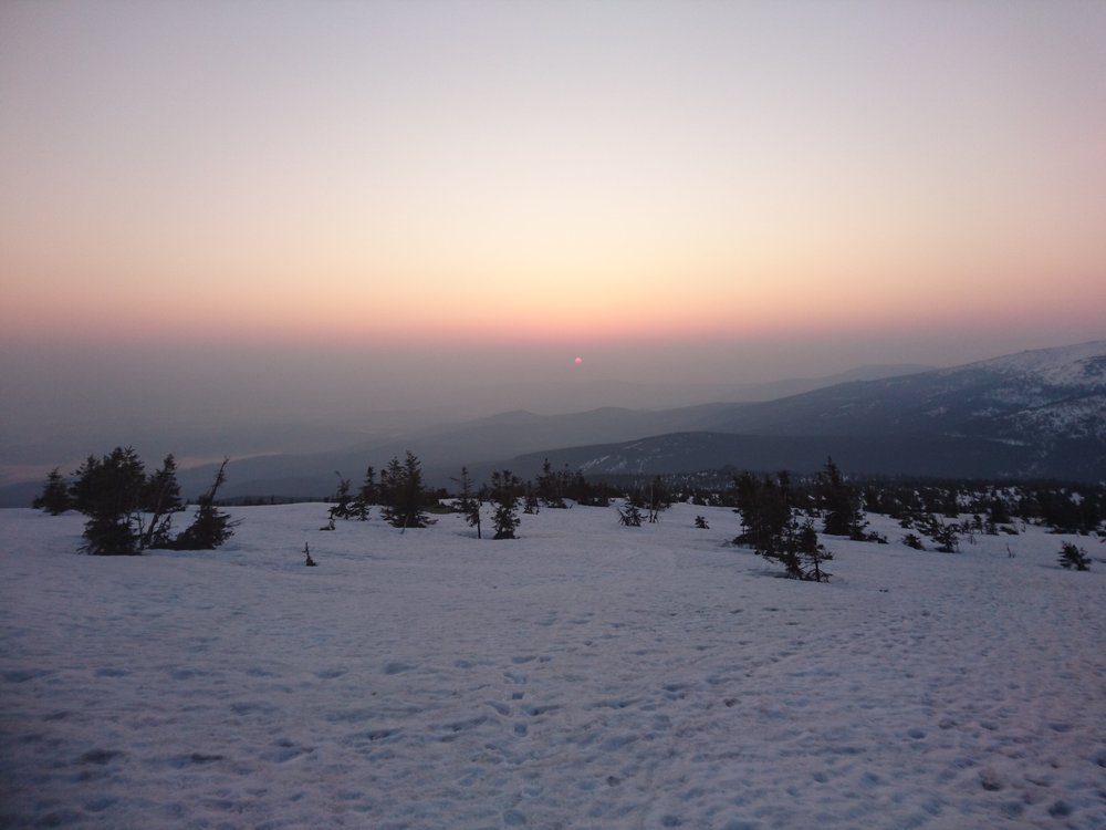 DSC_0595.JPG