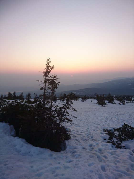 DSC_0599.JPG