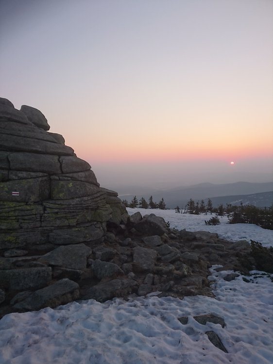 DSC_0607.JPG