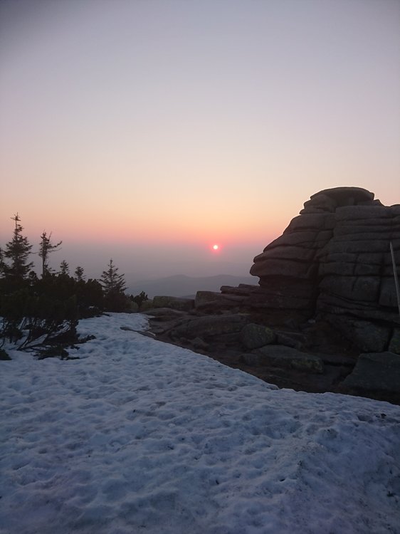 DSC_0620.JPG