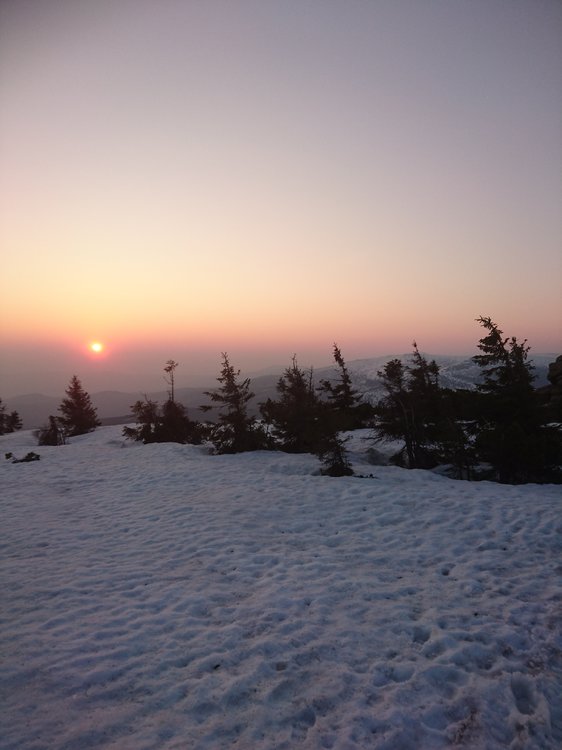 DSC_0628.JPG